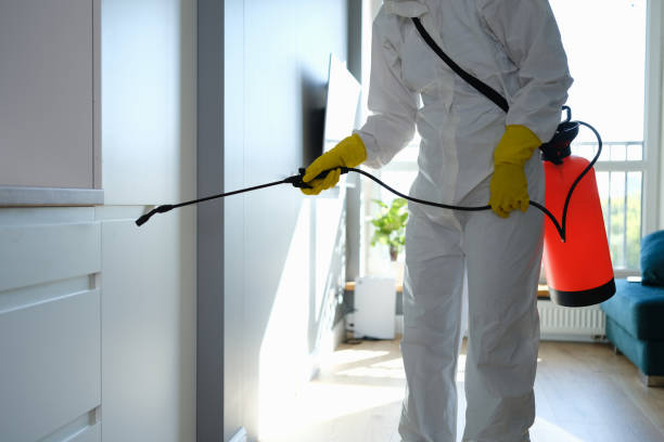 Trusted Carrington, ND Mold Remediation Experts